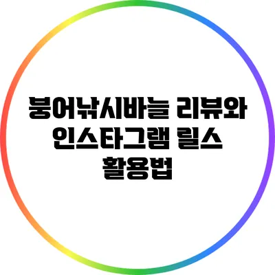 붕어낚시바늘 리뷰와 인스타그램 릴스 활용법