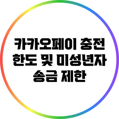 카카오페이 충전 한도 및 미성년자 송금 제한
