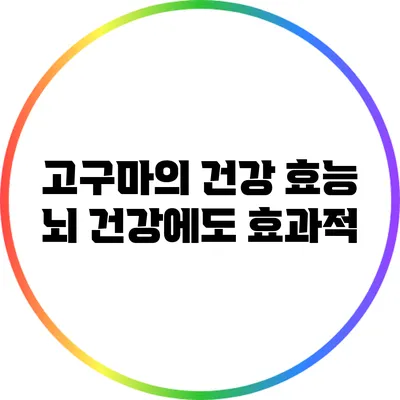 고구마의 건강 효능: 뇌 건강에도 효과적