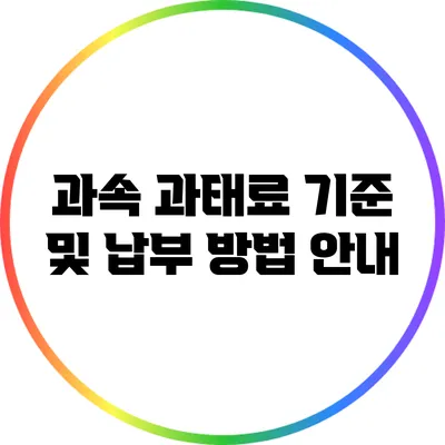 과속 과태료 기준 및 납부 방법 안내