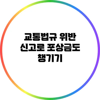 교통법규 위반 신고로 포상금도 챙기기