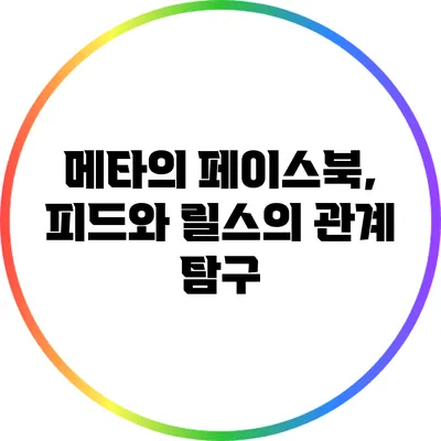 메타의 페이스북, 피드와 릴스의 관계 탐구