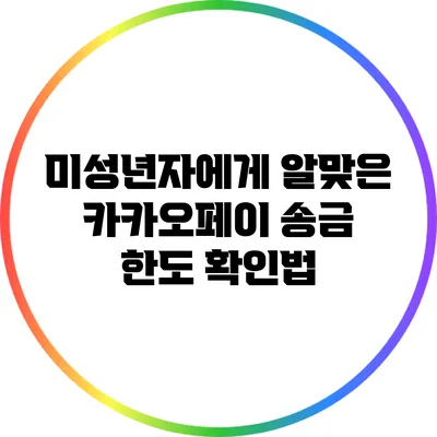 미성년자에게 알맞은 카카오페이 송금 한도 확인법