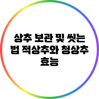 상추 보관 및 씻는 법: 적상추와 청상추 효능