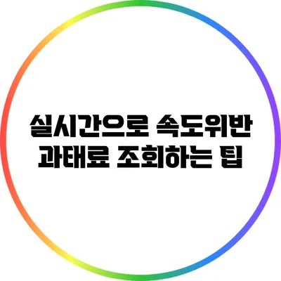 실시간으로 속도위반 과태료 조회하는 팁