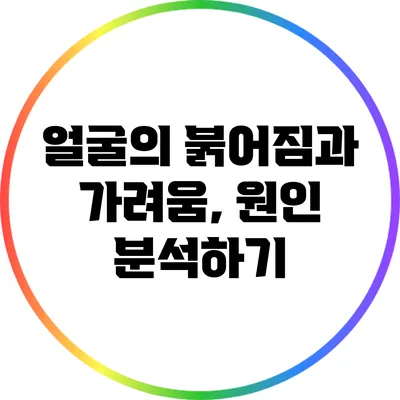 얼굴의 붉어짐과 가려움, 원인 분석하기