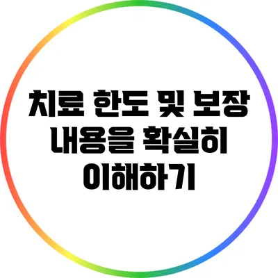 치료 한도 및 보장 내용을 확실히 이해하기
