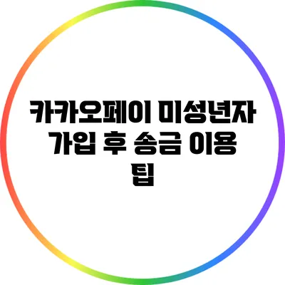카카오페이 미성년자 가입 후 송금 이용 팁