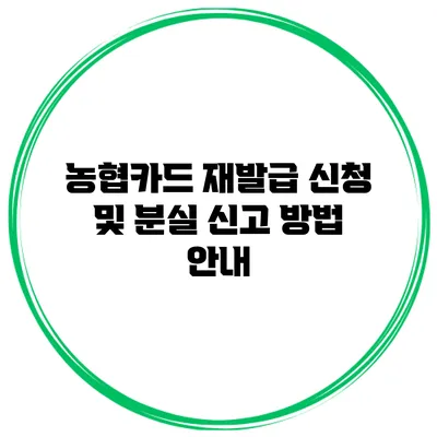 농협카드 재발급 신청 및 분실 신고 방법 안내