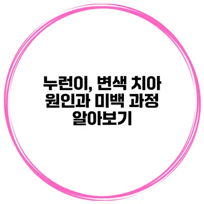 누런이, 변색 치아 원인과 미백 과정 알아보기