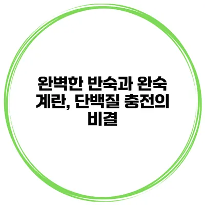 완벽한 반숙과 완숙 계란, 단백질 충전의 비결