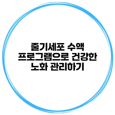 줄기세포 수액 프로그램으로 건강한 노화 관리하기