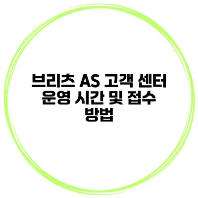 브리츠 AS 고객 센터 운영 시간 및 접수 방법