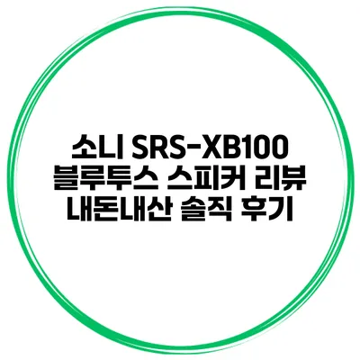 소니 SRS-XB100 블루투스 스피커 리뷰 내돈내산 솔직 후기