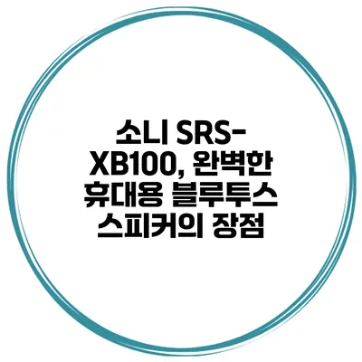 소니 SRS-XB100, 완벽한 휴대용 블루투스 스피커의 장점