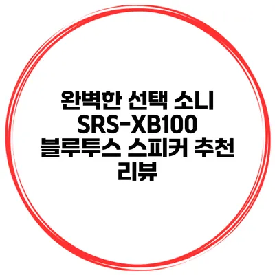 완벽한 선택 소니 SRS-XB100 블루투스 스피커 추천 리뷰